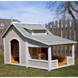 dog-house.jpg